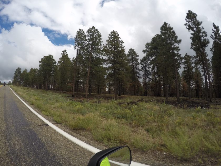 DCIM101GOPROG1237806.